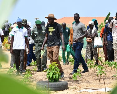 Équipe en formation. Groupe de personnes en formation et visite guidée sur les techniques agricoles