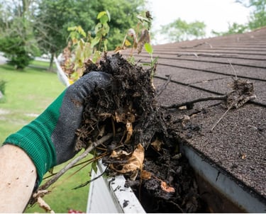 Cleaning blocked gutter as part of exterior maintenance