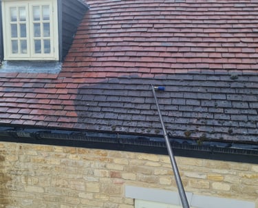 Roof cleaning