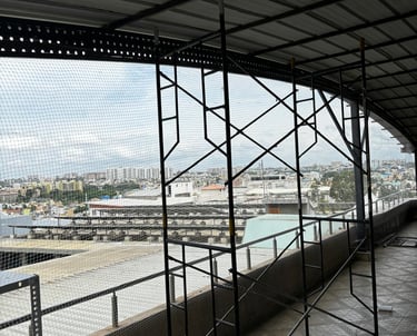 Technicians fitting a large pigeon net on a commercial building facade.