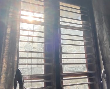 Window framed with a sleek, reusable mosquito net that fits perfectly.