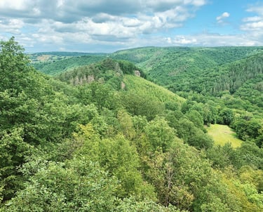 Nature, Ninglinspo, Découverte