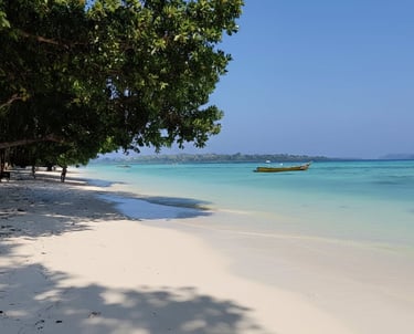 Andaman trip details - A tranquil view of a white sand beach with a solitary yellow boat