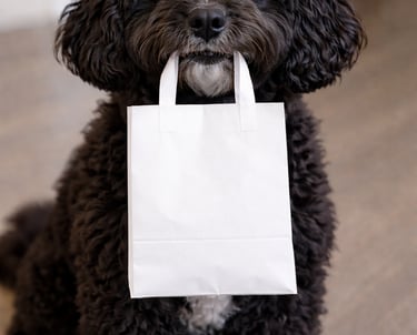 cockapoo with bag in mouth