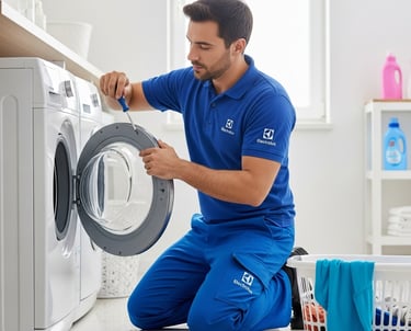 Electrolux Costa Rica