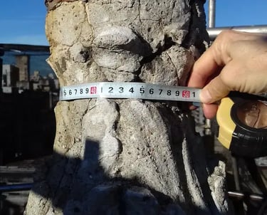 Medición de una columna del Jockey Club de Rosario para su restauración realizada por Almapiedra.