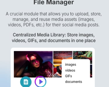 File manager dashboard showing a centralized media library for organizing social media images and videos.