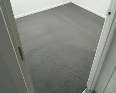 Before cleaning showing a carpet that is dirty.