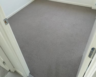 After cleaning showing a carpet visibly improved after deep cleaning.
