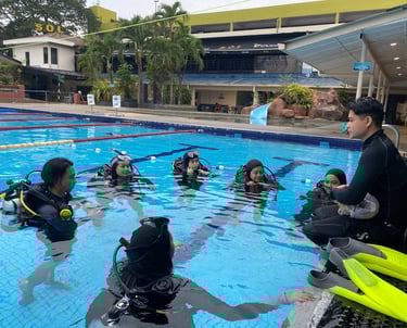 Orca Dive Team Discover Scuba