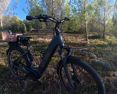 Location de vélo électrique à Aix-en-Provence – BikeForYou