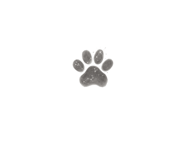 Paw print with constellation inside