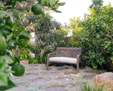 פינות ישיבה ועיצוב 