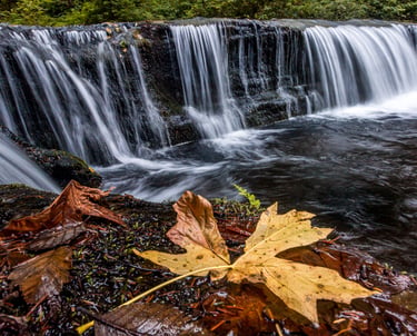 Water falls through the mountains and forests of Oregon.