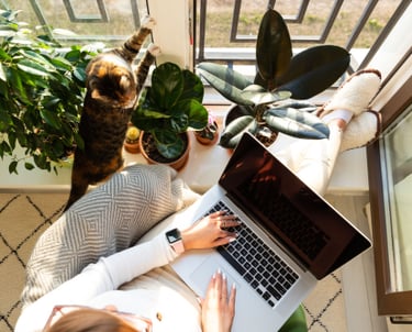 Darbostogos/workation