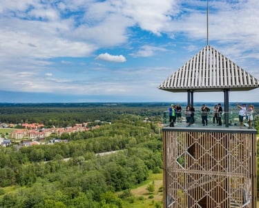 Birstono apzvalgos bokstas