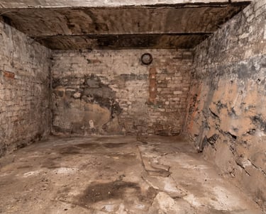 czysta piwnica oproznianie mieszkan lokali piwnica