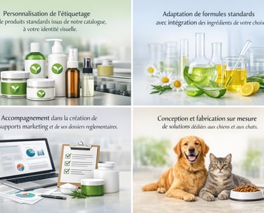 Offre de service Ingredog