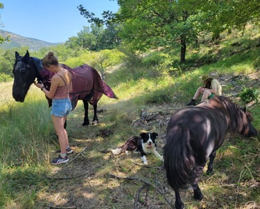 two women are relaxing around grazing horses and a relaxed lying dog