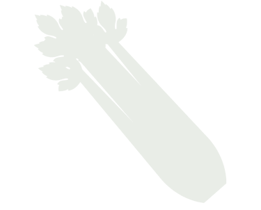 Minimalista, halványzöld zellerszár ikon leveles tetejével fehér háttérrel.