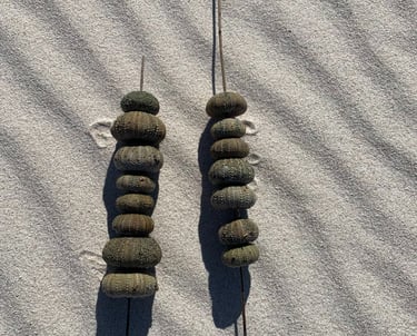 a pair of long shells