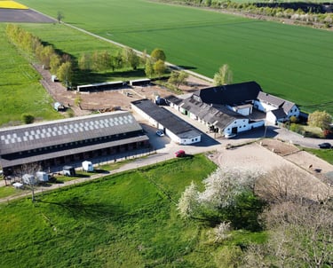 Aerial view of a rural horse farm with stables, riding arenas, and green pastures.