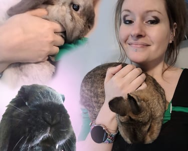 Jen Manning Warwickshire Artist