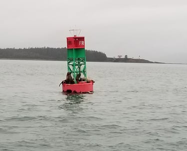 Navigation buoy with sea lions resting offshore in gray coastal conditions