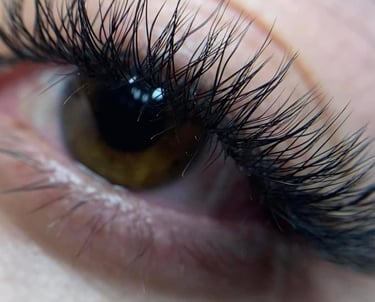 extensiones de pestañas negras voluminosas en un ojo marrón para un look de belleza profesional