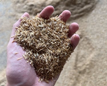 Raw rice husk product for industrial and biomass applications