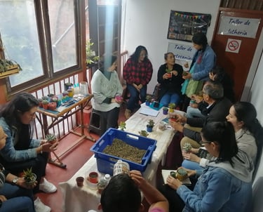 Personas en taller de cuidado de suculentas, hay tierra, plantas, herramientas de jardinería y bebidas calientes