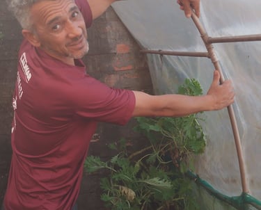 Foto minha na estufa/horta ao fundo um pé de couve