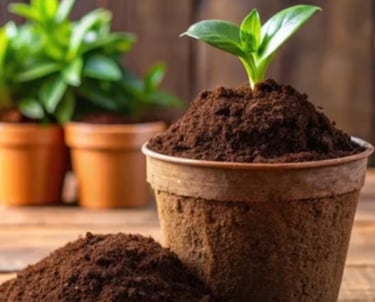 premium cocopeat blocks exported from India