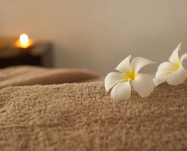 Hummingbird Wellness