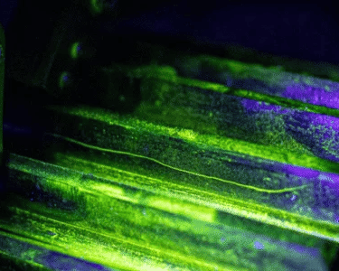 Partículas Magnéticas | Nivel 1