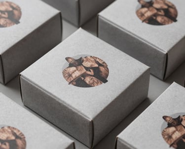 a man riding a skateboard down the side of a ramp