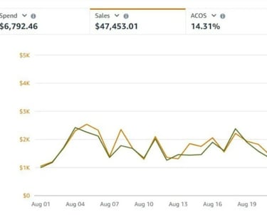 Amazon PPC Management