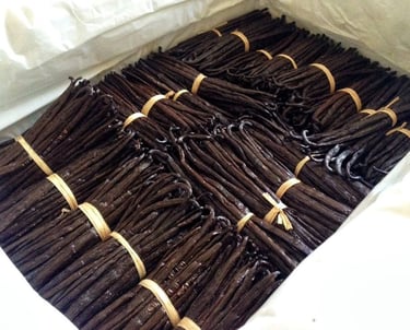 How we working for premium vanilla beans 