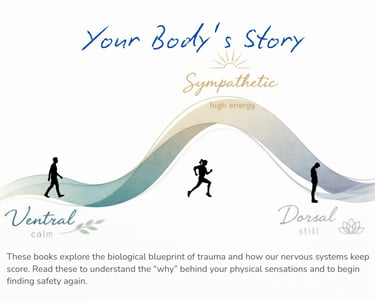 Graphic of three polyvagal states with figures moving from calm to still.