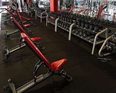 palestra Spartan Gym