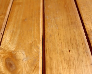 mice under floor boards