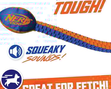 Tadpole's favorite tug toy