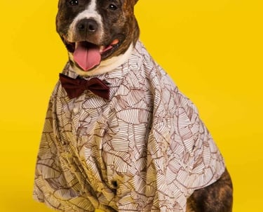 Perro con camisa elegante y moño formal color vino