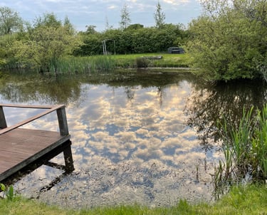 Pond in all its glory with a sky reflection