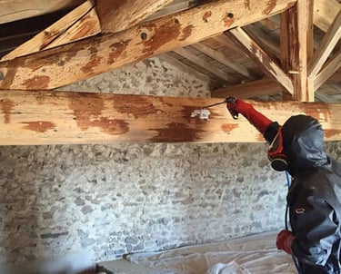 Technicien professionnel de lutte antiparasitaire pulvérisant un traitement du bois sur les poutres 