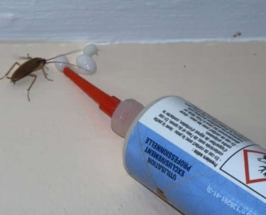 Un cafard se nourrissant d'un appât en gel blanc appliqué à partir d'un tube applicateur 
