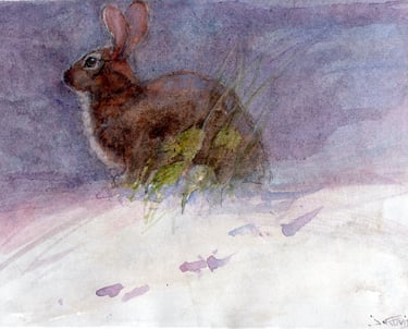 Winter Bunny rabbit sitting on a snowy hill