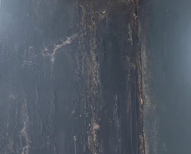 black mold on ceiling drywall from leak