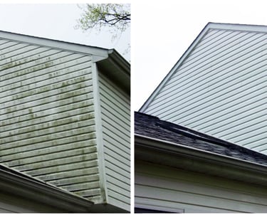 House soft wash before and after in Trinity, FL