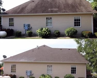 Plant-safe roof soft wash treatment for a residential home in Connerton Land O' Lakes
